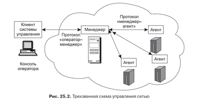 Виды протоколов сети
